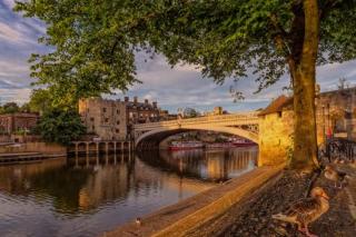 Pet friendly, Free Netflix 3 Bed House near York City Center - York - 9