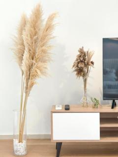 Ekocheras Creamy Stay - 9