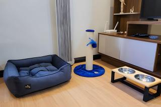 Conforto no Bigorrilho com garagem e academia - Curitiba - 5