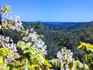 Villa Veyriere - Panoramic view - Valbonne - 6