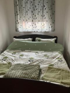 Nova Detelinara,Novi Sad - Novi Sad - 9