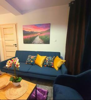 Apartament blu - Piece - 1