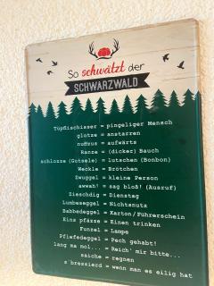 Fewo 1 - Residenz Schauinsland - mit Sauna, E-Ladestation, Todtnauberg, bei Feldberg - Ennerbach - 6