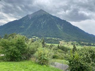 Appartement Niesenblick 1 - 1