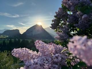 Idyllische Aussicht Niesen - Spiez - 2
