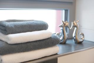 Komfort-Apartment Ambiente 2b bei Fam Horster - Bensheim - 6