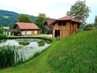 Studio Apartma2 pri Adamu - Mislinja - 8