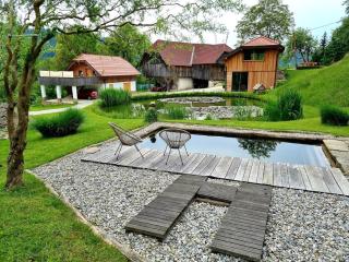 Studio Apartma2 pri Adamu - Mislinja - 9