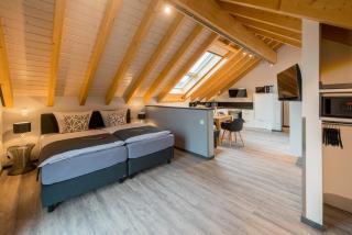 Premium-Wohnung Dach-Loft bei Fam Horster - Bensheim - 9