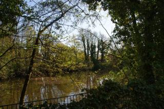 Ferienhäuschen Nordwolle - zentral, günstig, grün - Delmenhorst - 5