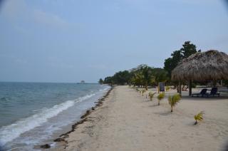 Mariposa Belize Beach Resort - Placencia - 1