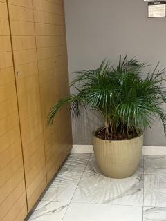 Shop Club Vila Guilherme - 1