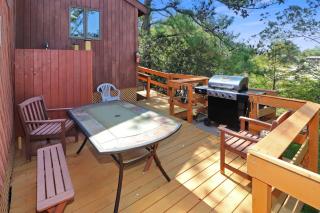 Admiral Benbow - contemporary home with shared boat ramp - Deep Hole - 9
