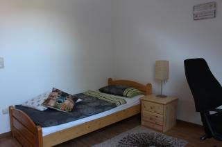 Ferienwohnung Krick - Bad Soden-Salmünster - 2
