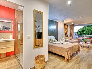 Studio cosy à Anse Marcel avec terrasse et climatisation - FR-1-734-47 - 5
