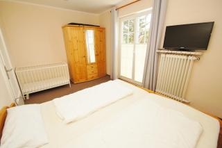 Narzisse - Dahme - 3