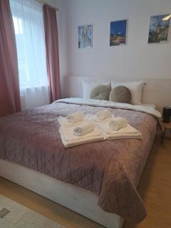 Studio with free Parking in the Center - Deliamo 3 - Sibiu - 5