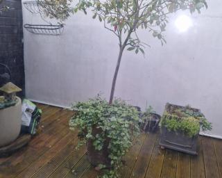 Cosy Cottage in Heart of Village - Ewell - 1