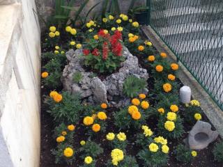 Apartments Smiljka - 1