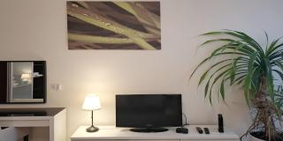 4 bedrooms 4 bathrooms luxury in Budapest centre - Budapest - 0