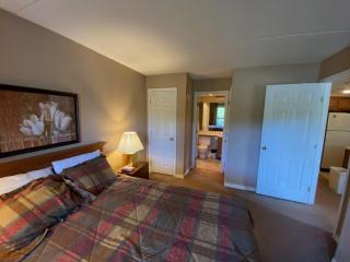Pico Village Resort D209 - Killington - 1