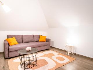 Superbe appart rénové centre, 7-10 pers, animaux admis - FR-1-517-37 - Chamonix - 1
