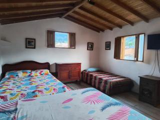 Los Tulipanes - 1