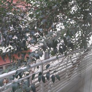 Luxury family house - 6