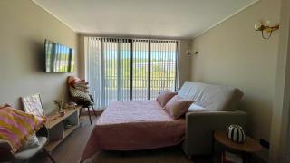 Hermoso departamento a pasos del lago - Villarrica - 9