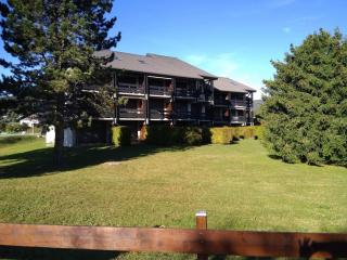 Charmant studio à Autrans, proche pistes et village, balcon sud, parking privé, accepte animaux - FR-1-737-33 - Autrans - 0