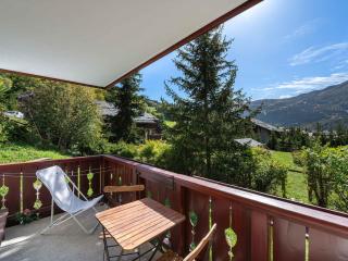 Appartement lumineux avec terrasse, à 250m des pistes et proche commerces - FR-1-566-64 - 1