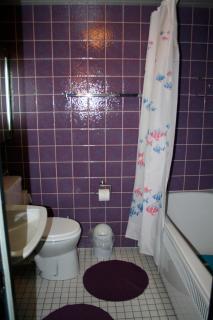 Fewo Hanebuth-Ridder im Haus Berolina mit Schwimmbad - Dahme - 6