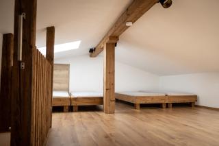 Haflinger Alm - Bischofsheim an der Rhön - 2