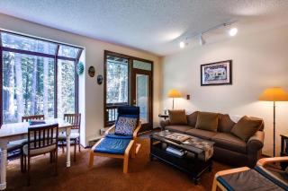 Snowater Condo 28 - Wi-Fi - Fireplace - Sleeps 4 - Glacier - 0