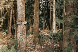 Silver Lake Cabin #67 - Hot Tub - Pets Ok - Wi-Fi - Maple Falls - 7