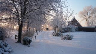 Inselhof Steengrafe - Strandblick - Schwanewede - 9