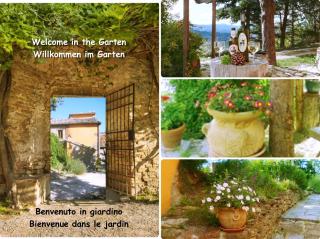 Ferienhaus Ca Piero mit Pool 13 bis 16 Personen - Urbino - 5