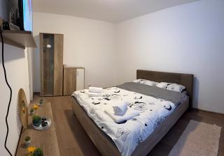 Studio Ciupercă - Craiova - 2