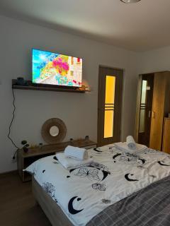 Studio Ciupercă - Craiova - 1