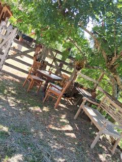 Fazenda Águas Claras - Mendes - 7