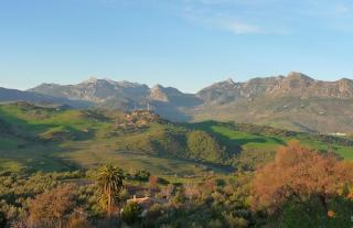 El Tejar - 3