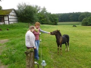 Ferienhof Frohne - Großer Ferkelstall - 2