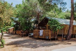 Apartments with a parking space Biograd na Moru, Biograd - 23740 - Biograd na Moru - 9