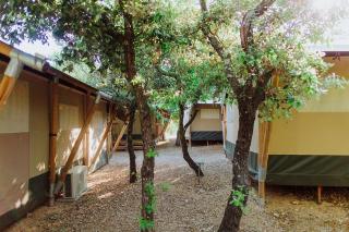 Apartments with a parking space Biograd na Moru, Biograd - 23740 - Biograd na Moru - 2
