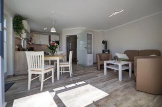 Seeschwalbe - Zingst - 8