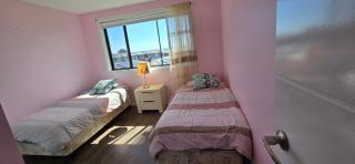 Luxury Five Bedroom House at the Ponds - Schofields - 7