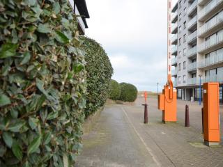 Cosy apartment with sun terrace - Oostduinkerke - 0