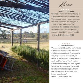 Seagoe Homestead - Stanthorpe - 3