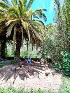 Casa la palmera - Valle Grande - 4