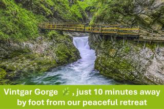 Apartment Valy - Relaxing Terrace & Near Bled - 2